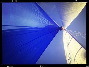 Low angle view of tree against blue sky