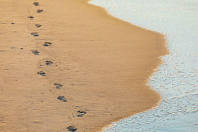 Close-up of footprints on sand at beach