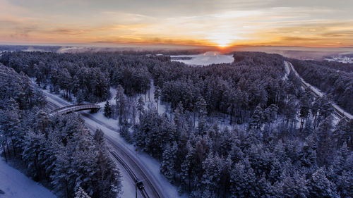 Aerial view of forest in winter during sunrise