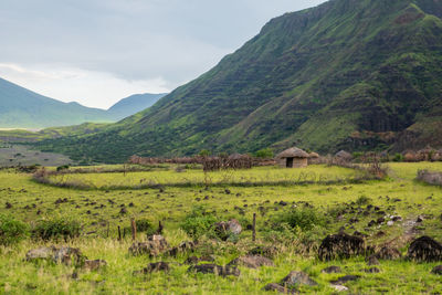 View of masai village at mount ol doinyo lengai in the ngorongoro conservation area in tanzania