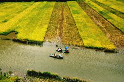 High angle view of people on agricultural field