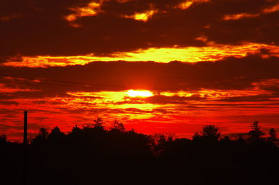 Silhouette of trees at sunset