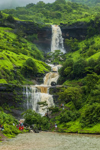 Scenic view of waterfall in forest