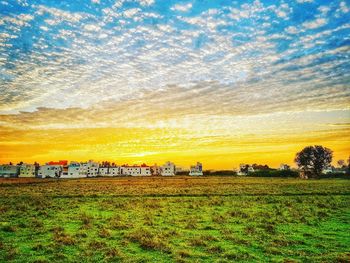 Scenic view of field against sky during sunset