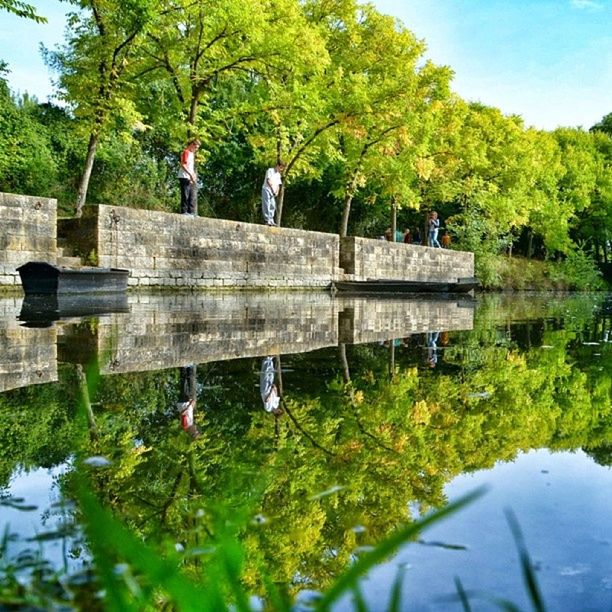 tree, water, lake, growth, tranquility, nature, green color, plant, pond, beauty in nature, tranquil scene, flower, reflection, wood - material, day, park - man made space, bench, outdoors, leaf, scenics