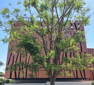 Low angle view of building