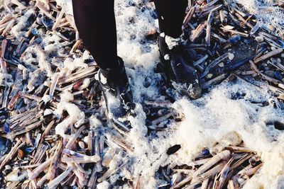 Low section of woman standing on messy field