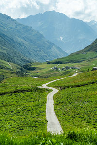 A way in the valley - portrait