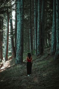 Rear view of woman standing by trees in forest