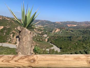 Scenic view of landscape against clear sky