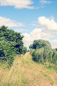Scenic view of field against cloudy sky
