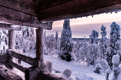 Snow covered land and trees on field against sky