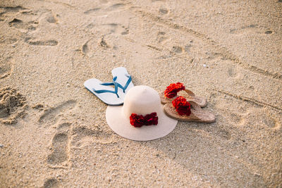 High angle view of flower on sand