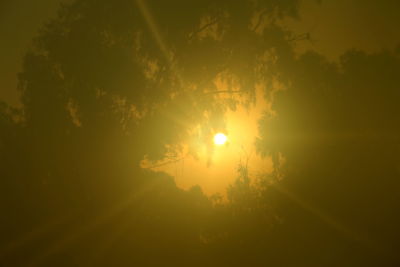 Low angle view of silhouette trees against sky during sunset