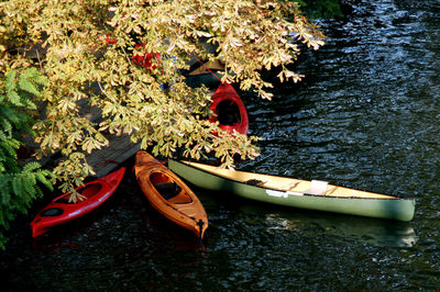 High angle view of lake by trees during autumn