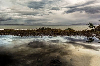 Birds in water against sky