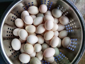 High angle view of eggs in container