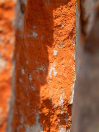 Close-up of weathered wall