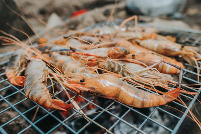 Close-up of meat on barbecue grill