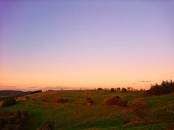 Scenic view of field against clear sky during sunset