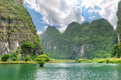 Scenic view of river amidst trees against sky