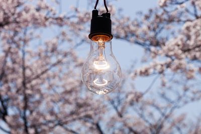 Low angle view of light bulb