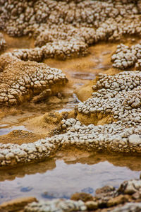 Close-up of rocks