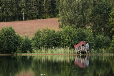 Reflection of trees in lake