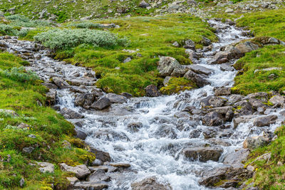 Mountain river in the highland country