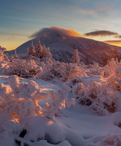 snow