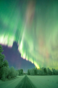 Road amidst trees against sky