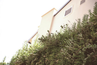 Low angle view of house against clear sky