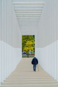 Rear view of man walking on staircase of building