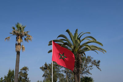 Low angle view of palm trees against blue sky