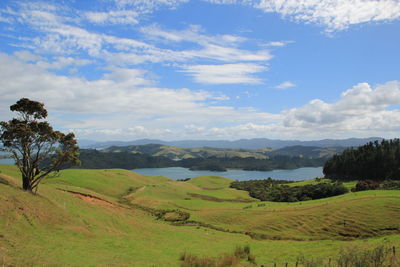 Scenic view of agricultural field against sky