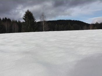 Trees on snow covered landscape against sky