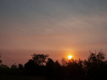 Silhouette trees against sky during sunset