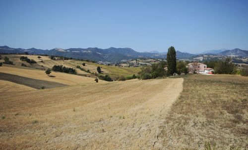 Scenic view of field against clear blue sky