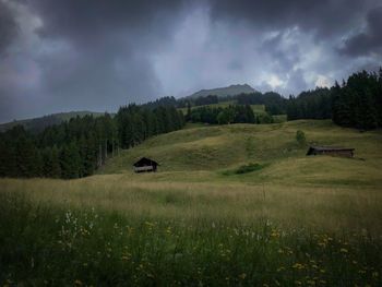 Scenic view of field against sky