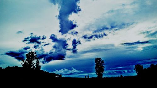 Low angle view of silhouette trees against sky