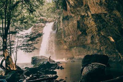 Scenic view of waterfall in forest