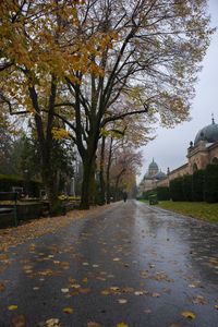 Road amidst trees and buildings in city