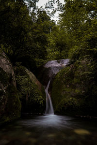 Waterfall in forest