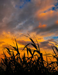 Silhouette of landscape against cloudy sky at sunset