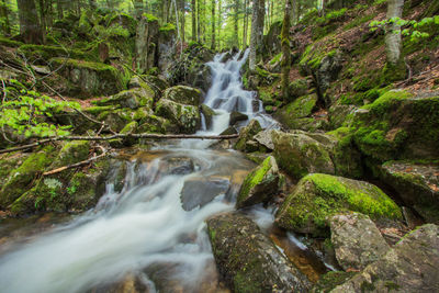 View of waterfall in forest