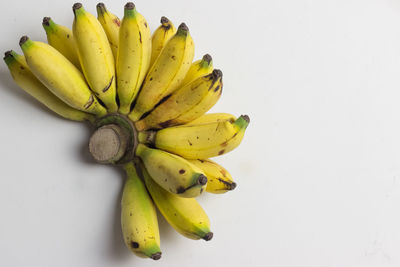 High angle view of fruit on white background
