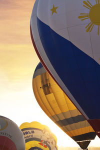 hot air balloon