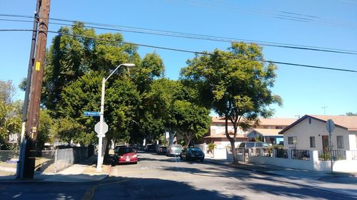 Trees by street in city against sky