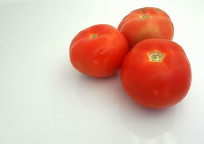 Close-up of tomatoes against white background