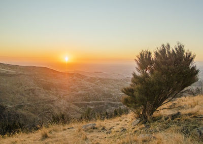 Scenic view of landscape against clear sky during sunset